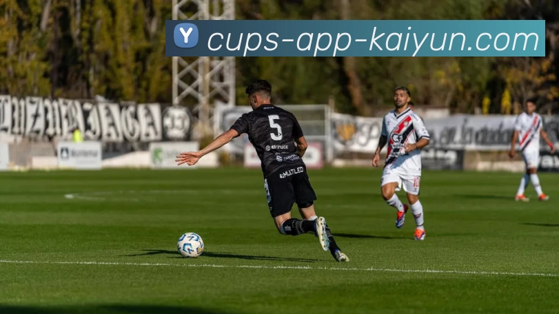 开云平台生态图